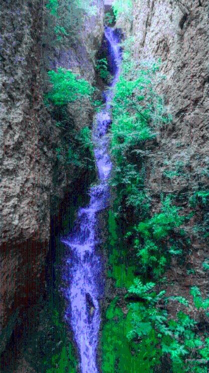 逃出奶油苹果屋